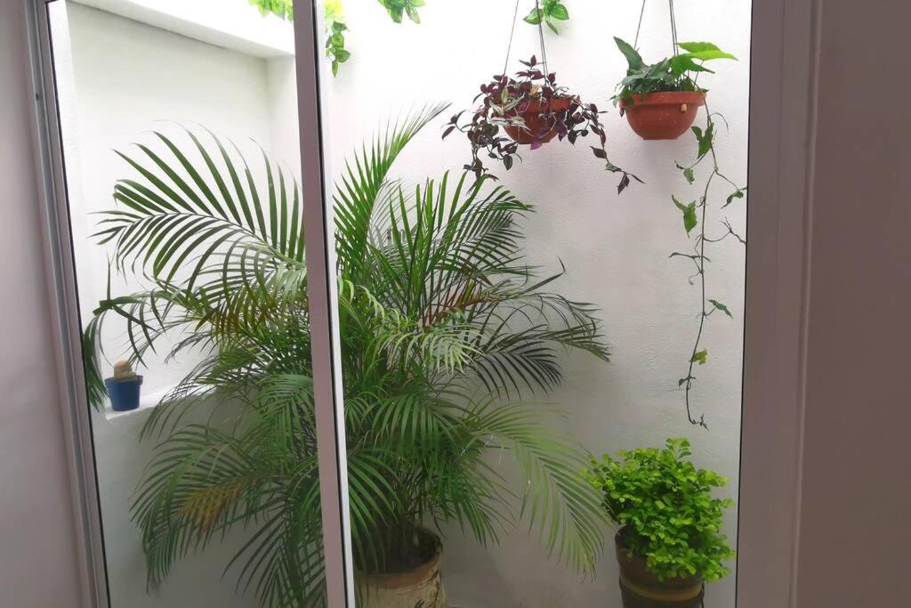 Сasa de vacaciones Casa Marqués Jacuzzi Y Bdsm